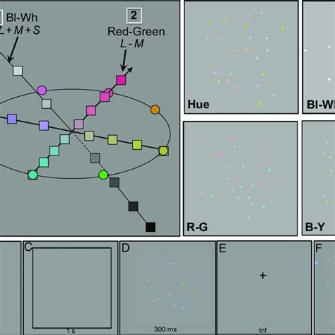 A diagrammatic representation of the four sets of stimuli used in Exp ...