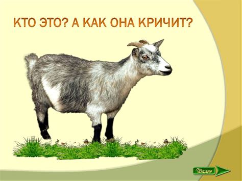 «Кто как кричит?». Знакомство детей (1,5-2 года) с животными и птицами ...