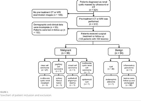 Figure 1 From Bosniak Classification Of Cystic Renal Masses Version 2019 Is It Helpful To