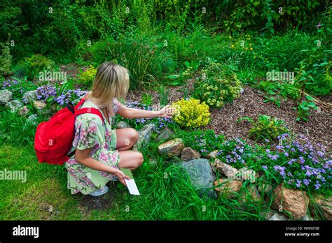 Eine Junge Blonde M Dchen In Einem Gr Nen Kleid Mit Einem Roten Rucksack Auf Dem R Cken Und Ein