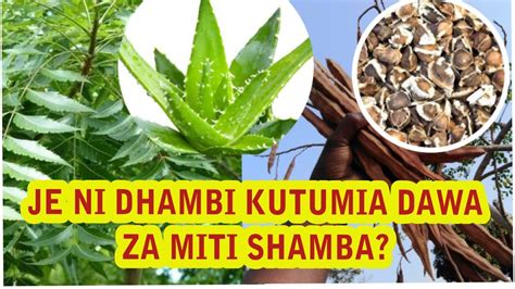 Je Ni Dhambi Kutumia Dawa Za Miti Shamba Unapoumwa Muarobaini