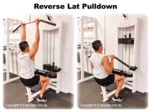 reverse lat pulldowns