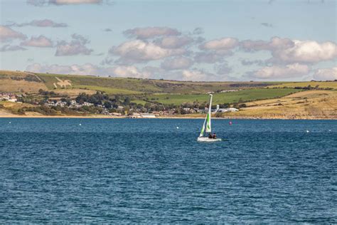 How many hearts does an octopus have? | New Scientist