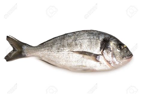Valori Nutritionale Dorada - Calorii, Proteine, Carbohidrati Si Grasimi ...