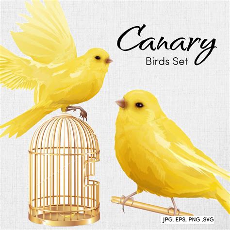 Canary Birds Set Masterbundles