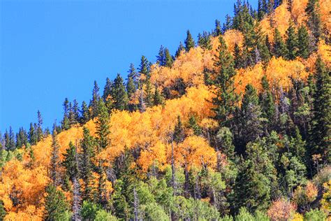 Taos Ski Valley Lodging And Activities Chamber Of Commerce