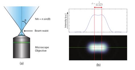 Cheating The Diffraction Limit With Expansion Microscopy