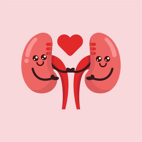 Cute kidney mascot | Vector art, Cute, Creative poster design