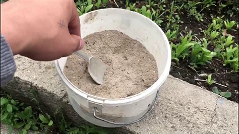 Древесная зола, как ее использовать?? Растворы, настои - готовим по ...