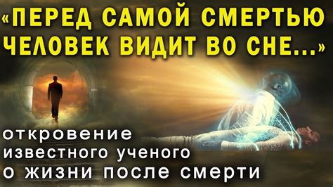 Ученые убедились - ПЕРЕД СМЕРТЬЮ психика раскрывает человеку Тайну ...