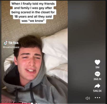 Stranger Things Star Noah Schnapp Comes Out as Gay in a TikTok VideoÂ