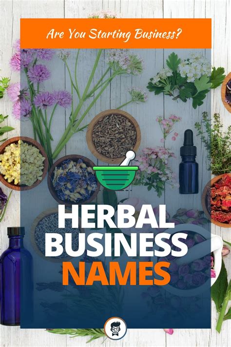 460 Catchy Spices Slogans And Taglines That Attract Customers