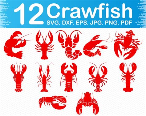 Crawfish Svg Crawfish Boil Svg Mardi Gras Svg Crawfish Png Etsy