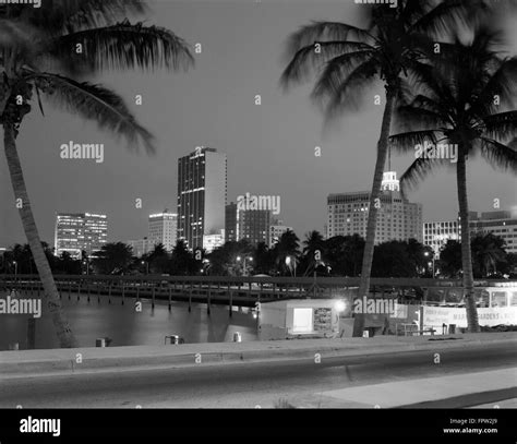 1970s Night View Skyline With Palm Trees Miami Florida Usa Stock Photo