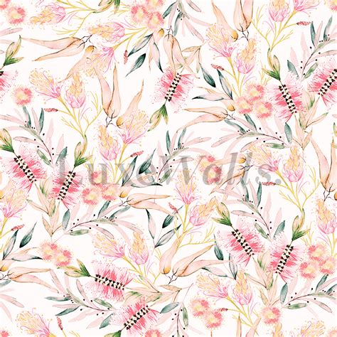 Australian Flowers Wallpapers Top Free Australian Flowers Backgrounds