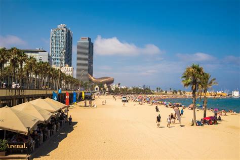 Barceloneta Beach - Barcelona City and Travel Guide