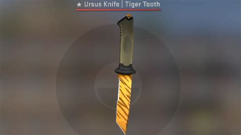 Best Ursus Knife Skins In Cs Playing History