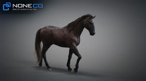 Nonecg 3d Models Animated 3d Horses 3dsmax