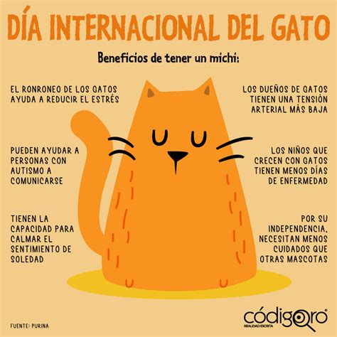 Por qué se celebra el DíaDel Gato el 8 de agosto Quinto Elemento News