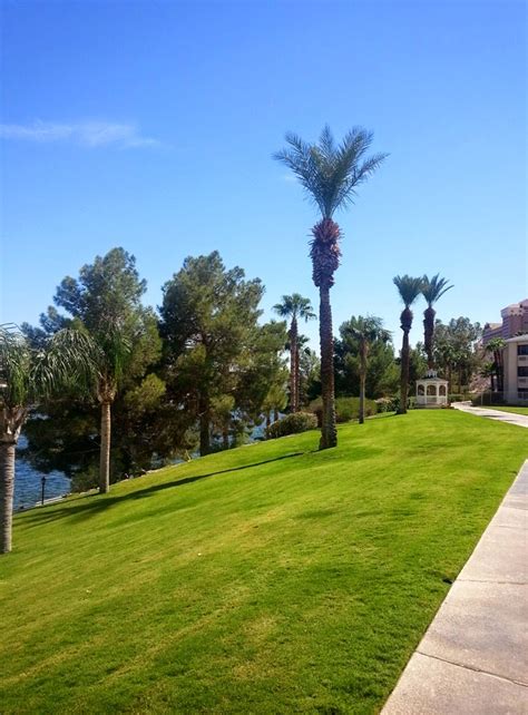 Laughlin Buzz River Palms Laughlin The End
