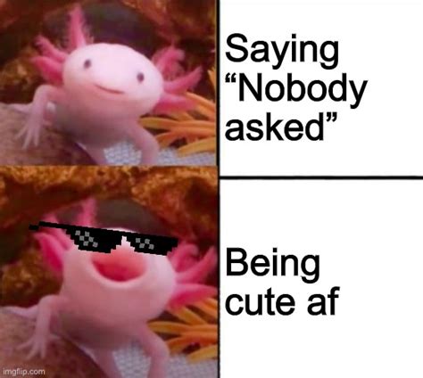 axolotl Memes & GIFs - Imgflip