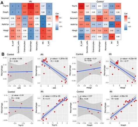 Identification Of Renal Ischemia Reperfusion Injury Characteristic