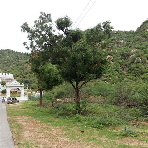 Karodi Dhwaj Temple Sirohi Tripadvisor