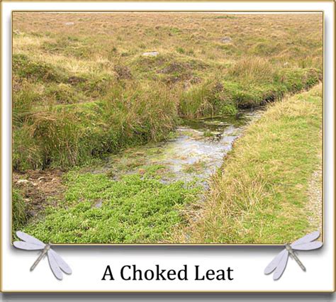 Leats – Legendary Dartmoor
