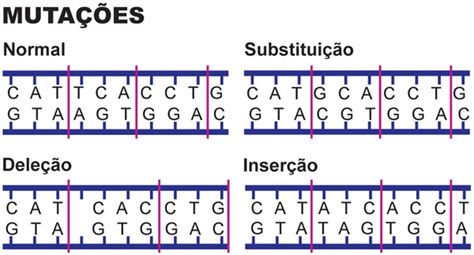 Roteiro da Semana 5 Mutações alterações nos genes e Disciplinas