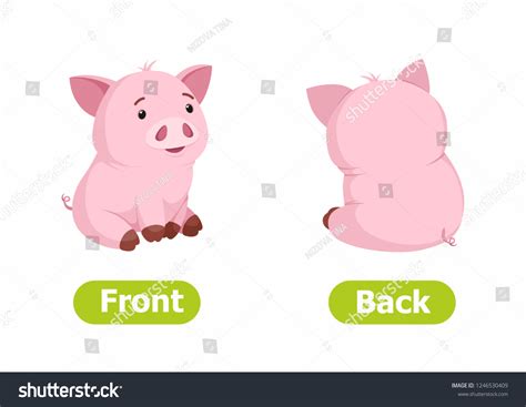 Opposites Images Browse 318007 Stock Photos And Vectors Free Download