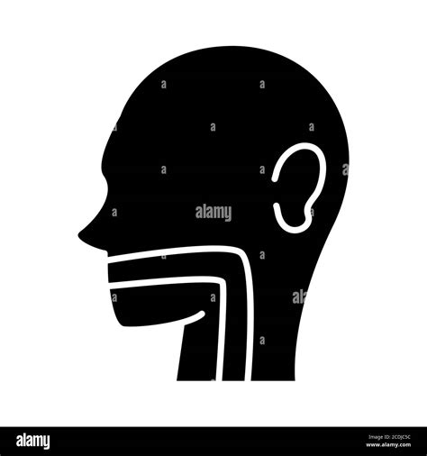 Human Throat Hi Res Stock Photography And Images Alamy