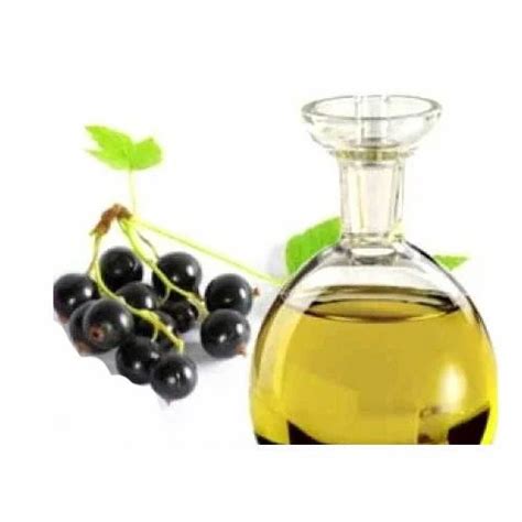 Liquid Black Currant Oil Packaging Size 200 L At Rs 100litre In