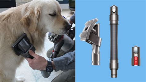 Dyson Pet Grooming Kit Review: Effective and convenient - Reviewed