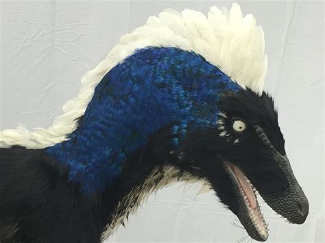 Deinonychus Raptor W Real Feathers Darwin And Wallace A Nature