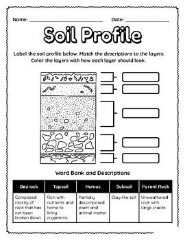 Label a Soil Profile – Worksheet by professional designer | TPT