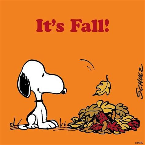 🍁🎃🍂 Its Fall 23 September 2015 🍂🎃🍁 Snoopy Imágenes De Snoopy