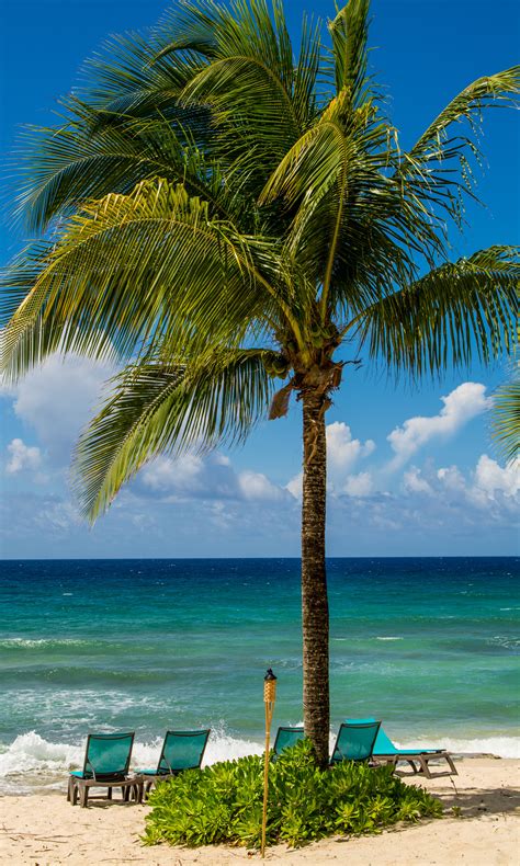 US Virgin Islands - Travel Guide - Tripmasters Travel