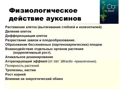 Фитогормоны - гормоны растений - презентация онлайн