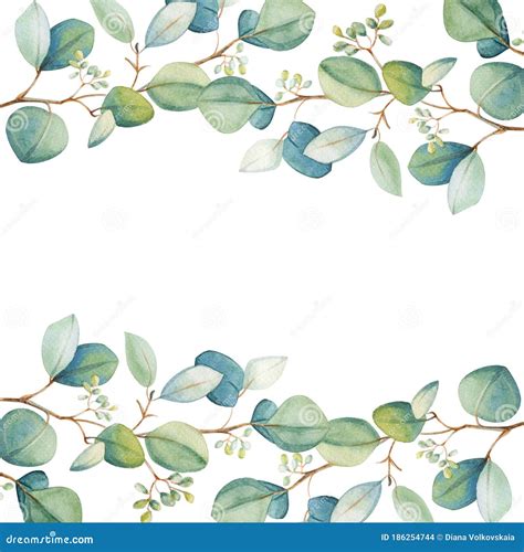 Watercolor Border Frame From Blue Green Eucalyptus Leaf Branches With