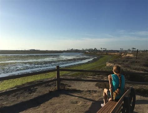 The Acre Bolsa Chica Ecological Reserve In Huntington Beach Is