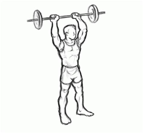 Barbell Overhead Tricep Extension