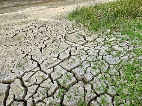 Impact Du Changement Climatique Sur Lafrique Subsaharienne La Banque