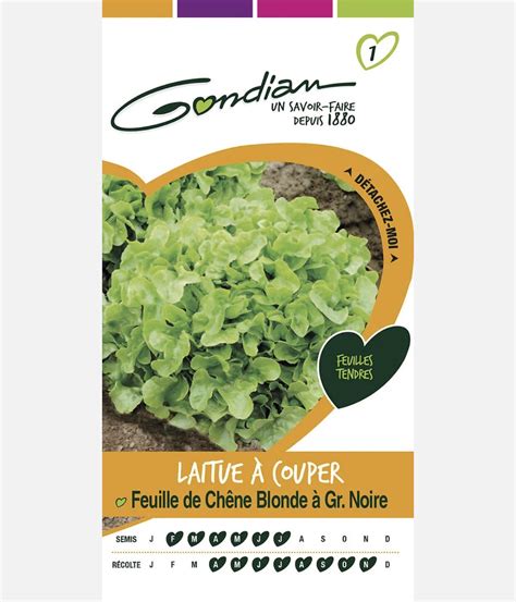 Laitue Feuille Chene Blonde Article Disponible Sur Demande Nous Consulter Terae