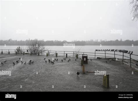 Drizzling Day In Edgbaston Hi Res Stock Photography And Images Alamy