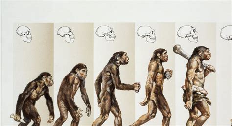 Desde Muito Cedo Os Seres Humanos Desenvolveram Formas De Transmitir