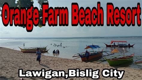 Orange Farm Beach Resort Lawigan Bislig City Youtube