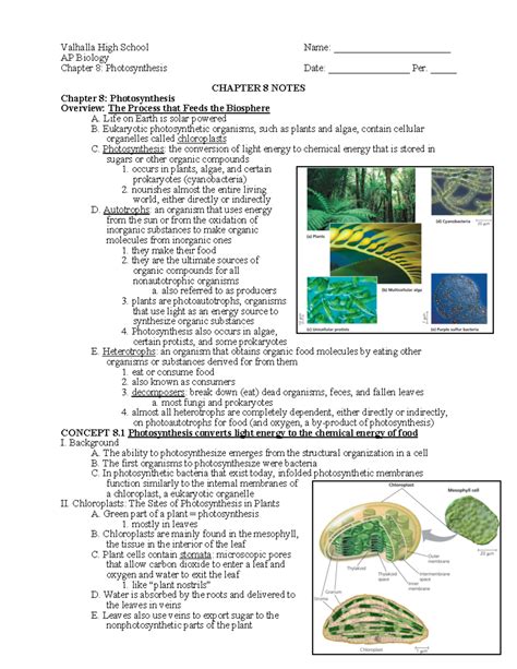 AP Biology Chapter 8 Notes - Valhalla High School Name