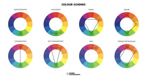 Complementary Colors For Photography Color Theory