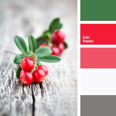 rose red | Color Palette Ideas