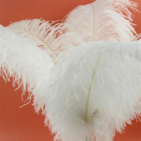 70-75cm South Africa Ostrich Feathers Cheap Large White Feathers For